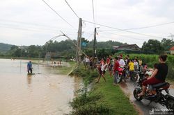 Săn cá đồng trong ngày mưa lớn