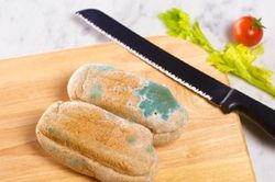 Ung thư chỉ vì chủ quan với nấm mốc