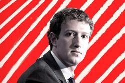 'Mark Zuckerberg đáng bị bỏ tù'