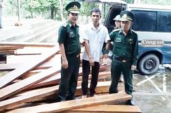 Gỗ 'lậu' đi đêm