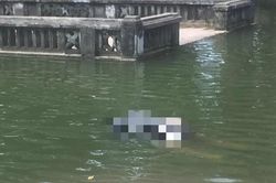 Kết quả điều tra vụ thi thể phụ nữ nổi trong ao khuôn viên đền Phù Đổng