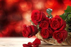Tử vi ngày 5/9/2019: Tuổi Ngọ cực may tiền bạc, tuổi Thìn vượng vận nhân duyên