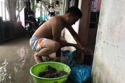 Mưa lớn xuyên ngày đêm, TP.Hà Tĩnh chìm trong biển nước