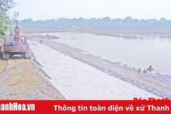 Xử lý khẩn cấp sạt lở đê hữu sông Mã phục vụ phòng, chống lụt, bão
