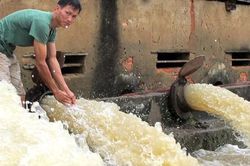 Gia Viễn: Chủ động chống úng, ứng phó với mưa bão