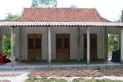 Hệ lụy khó lường từ việc gom cây trầm gió bán cho thương lái
