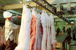 Kiểm soát việc giết mổ gia súc, gia cầm ở các cơ sở nhỏ lẻ: Đẩy lùi những nguy cơ tiềm ẩn