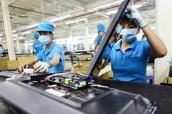 14/58 công ty có quan hệ với Asanzo đã bỏ trốn
