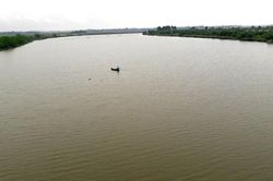 Đi thả lưới đánh cá trong mưa lớn, 2 anh em tử vong