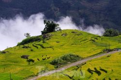 Ngắm cảnh sắc 'thiên đường' ruộng bậc thang hùng vĩ ở Y Tý