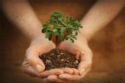 Có báu vật này thì cả đời bạn chẳng sợ điều gì, mọi tai ương đều qua hết
