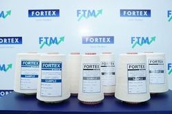 Chuyện gì đang xảy ra với cổ phiếu FTM?