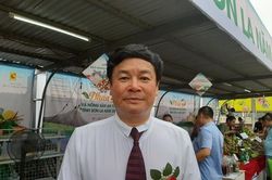 Nhãn Sơn La: Đem lại giá trị kinh tế cao