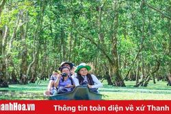 Mùa nước nổi vòng quanh Thủ phủ Tràm của Việt Nam
