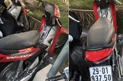 Tìm chủ sở hữu xe máy