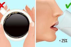 Những thực phẩm và đồ uống gây 'quá tải' bàng quang