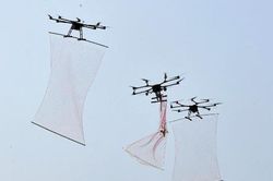 Trung Quốc chế tạo thiết bị bắt drone như Người nhện