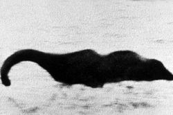 Quái vật hồ Loch Ness có thể là một con lươn khổng lồ