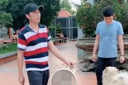 Hoài Linh làm vườn để chuẩn bị lễ giỗ Tổ nghề