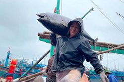 Tỉ lệ đạt chuẩn NTM ở Nam Trung Bộ và Tây Nguyên thấp hơn trung bình cả nước