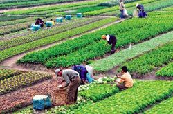 Tổ chức Diễn đàn Kinh tế hợp tác, hợp tác xã năm 2019