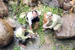 Chú rùa tốt số