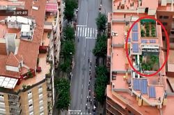Đưa tin giải đua xe Tây Ban Nha, máy quay làm lộ vườn cần sa trên sân thượng