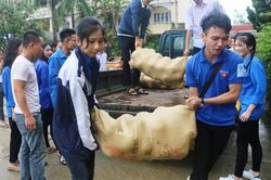 Tuổi trẻ Hà Tĩnh chung tay 'giải cứu' bưởi Phúc Trạch giúp dân vùng lũ