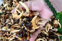 Thực hư giá càng cua đồng 500.000 đồng/kg đang hot rần rần, được nói là có tiền cũng khó mà mua được