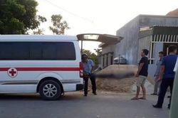 Trộn bê tông đổ móng nhà, hai người bị điện giật tử vong tại chỗ