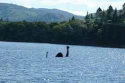 Quái vật hồ Loch Ness chỉ là con cá chình đột biến với kích thước quá khổ?