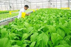 Tổ chức tập huấn tuyên truyền pháp luật về lĩnh vực nông nghiệp