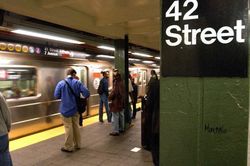 New York chuẩn bị bẫy chuột bằng cách cho chết chìm trong rượu