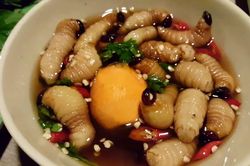 Sốc phản vệ, suýt mất mạng do ăn đuông dừa