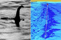 Cực sốc: Quái vật hồ Loch Ness đã giải mã thành công?