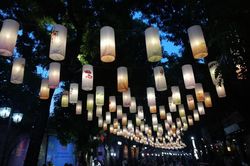 Người dân Thủ đô hào hứng check in trên phố đèn lồng dịp Tết Trung thu