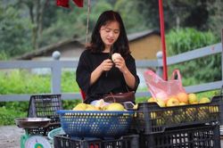 Ngắm thiếu nữ Hà Giang bán lê xinh đẹp nổi như cồn