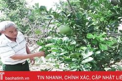 Cựu chiến binh 20 năm 'lăn lộn' cùng nông dân