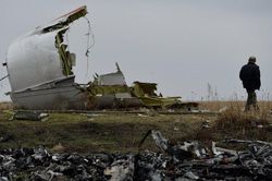 Thám tử Đức sẵn sàng chia sẻ thông tin vụ máy bay MH17 rơi với Malaysia