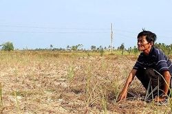 Sau lũ nhỏ, ĐBSCL đối diện hạn mặn lịch sử?