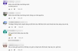 Xuất sắc giành 20 triệu tại Nhanh như chớp, Midu nhận được 'cơn mưa' lời khen