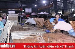 Nâng cao năng lực của ngành chế biến lâm sản