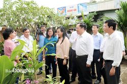 Phải vào cuộc quyết liệt mới đẩy lùi được dịch sốt xuất huyết