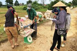 Kinh tế Nông nghiệp - Nông thôn Hối hả thu hoạch sắn sau mưa lũ