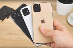 Giá iPhone 11 tại Việt Nam từ 23 triệu đồng