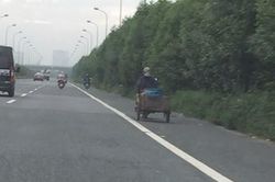 Thông tin từ đường dây nóng