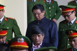 Vụ buôn lậu gỗ trắc: Khởi tố ông Phan Văn Vĩnh