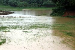 Các địa phương ứng phó với sạt lở, ngập lụt vùng trũng và khu đô thị