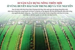 Hơn 42% số xã ở Duyên hải Nam Trung bộ và Tây Nguyên đạt chuẩn nông thôn mới