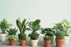 Bắt lỗi phong thủy 'hắt hủi' Thần Tài, làm ăn thất bát quanh năm nợ nần